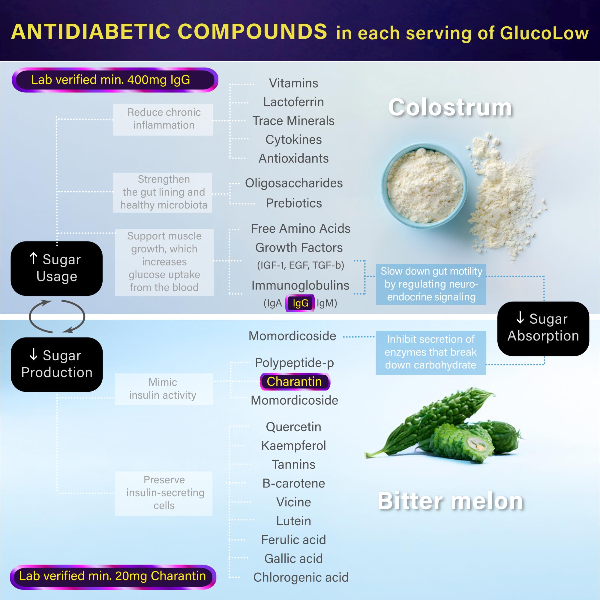 Probiotic blend including Akkermansia muciniphila