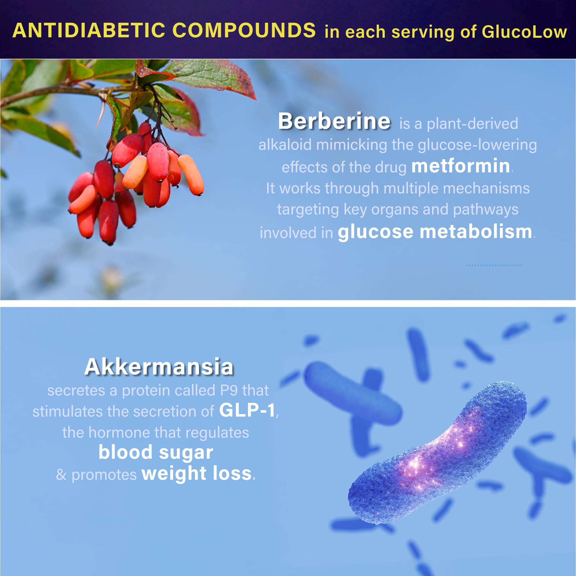 BioVXR delayed-release capsule technology illustration