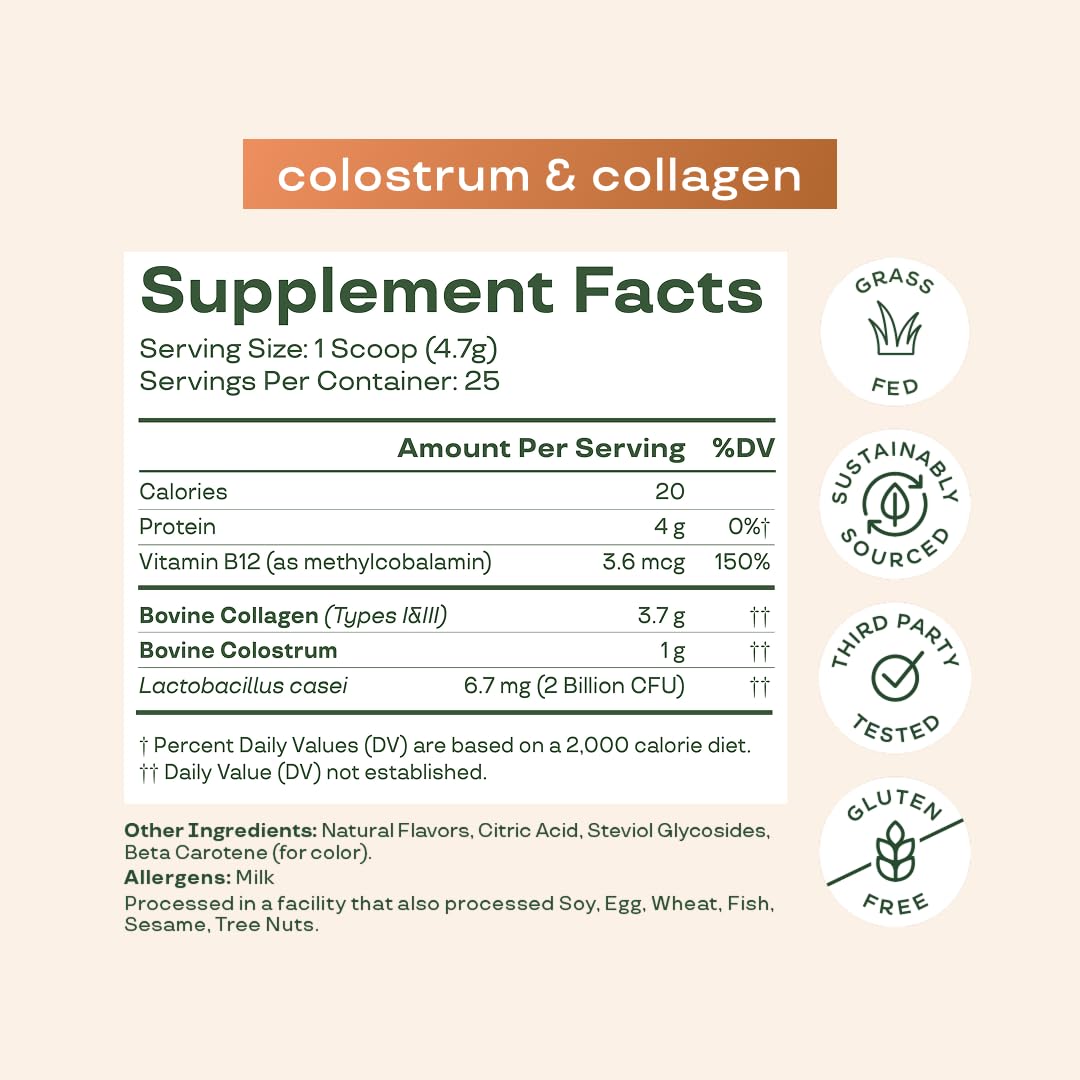 Vitamin B-12 symbolism and gut health concept with packaging