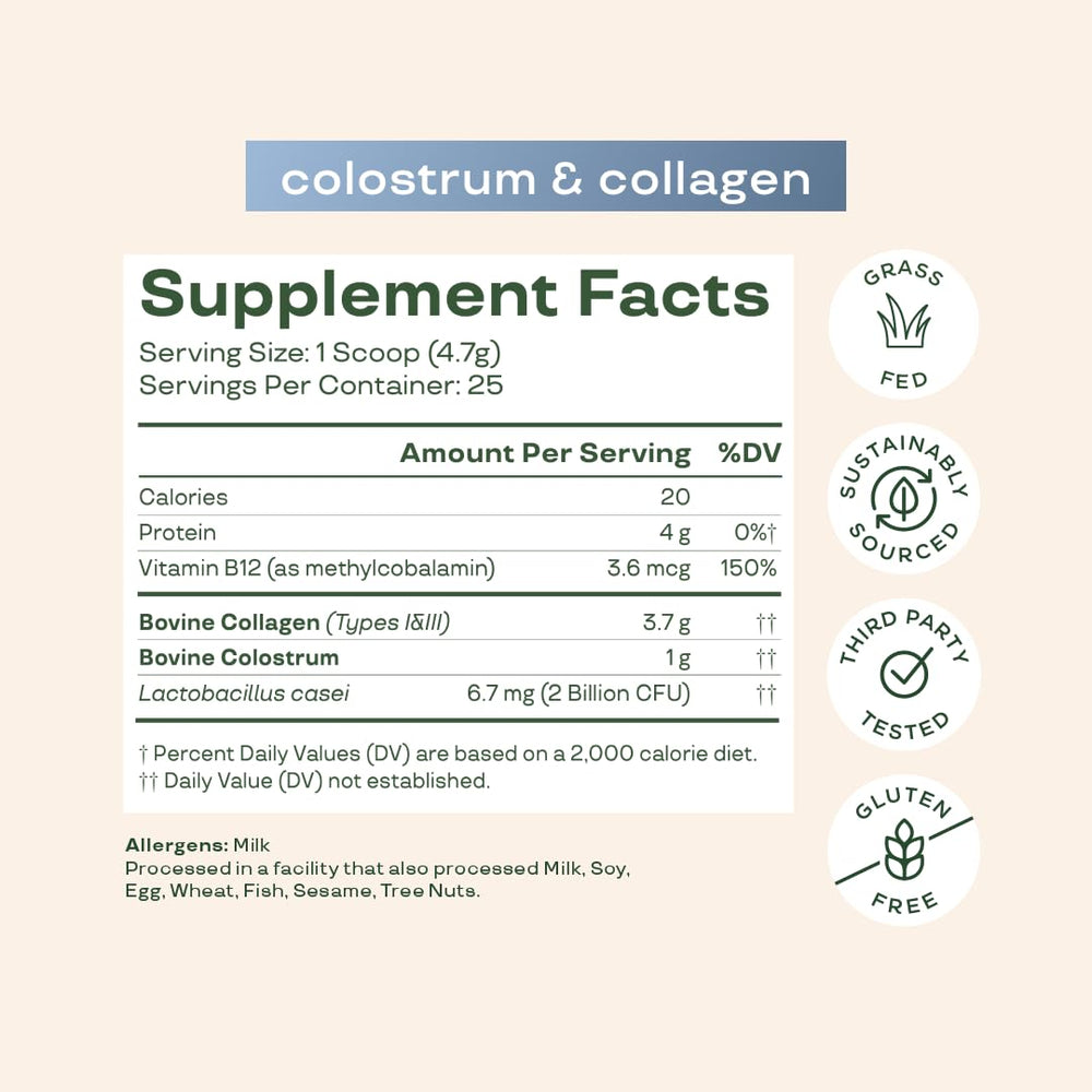 Illustration of probiotics and vitamin B12 supporting gut health