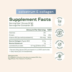 Illustration of probiotics and vitamin B12 supporting gut health