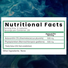 Nutrient-rich blue-green-red algae infographic highlighting key nutrients