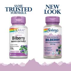 Blueberry extract 195 mg illustration