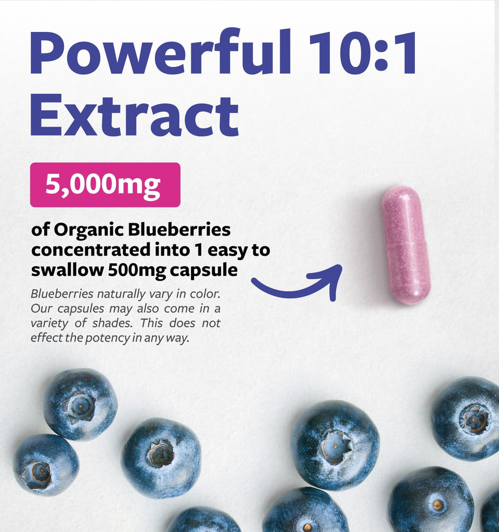 Lab-verified blueberry supplement bottle with purity seal