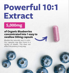 Lab-verified blueberry supplement bottle with purity seal