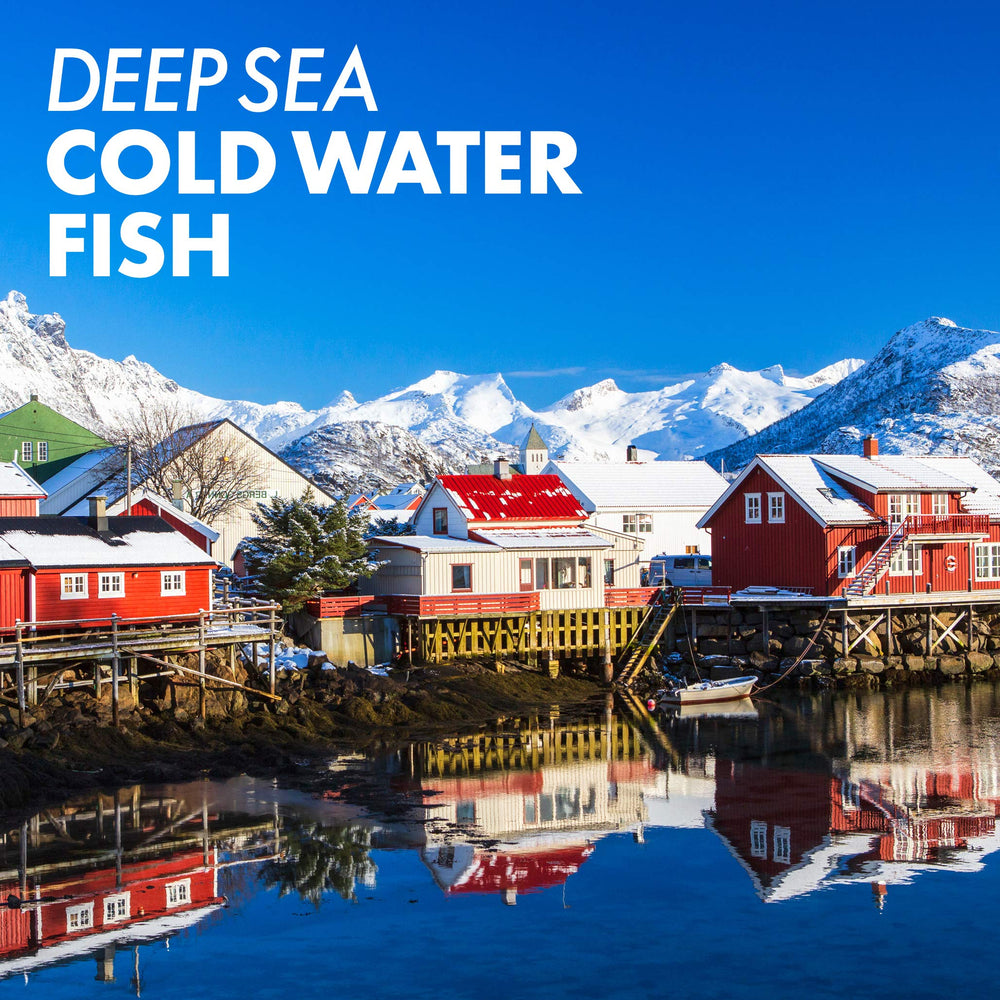 Graphic illustrating Vitamin A and D3 from fish oil