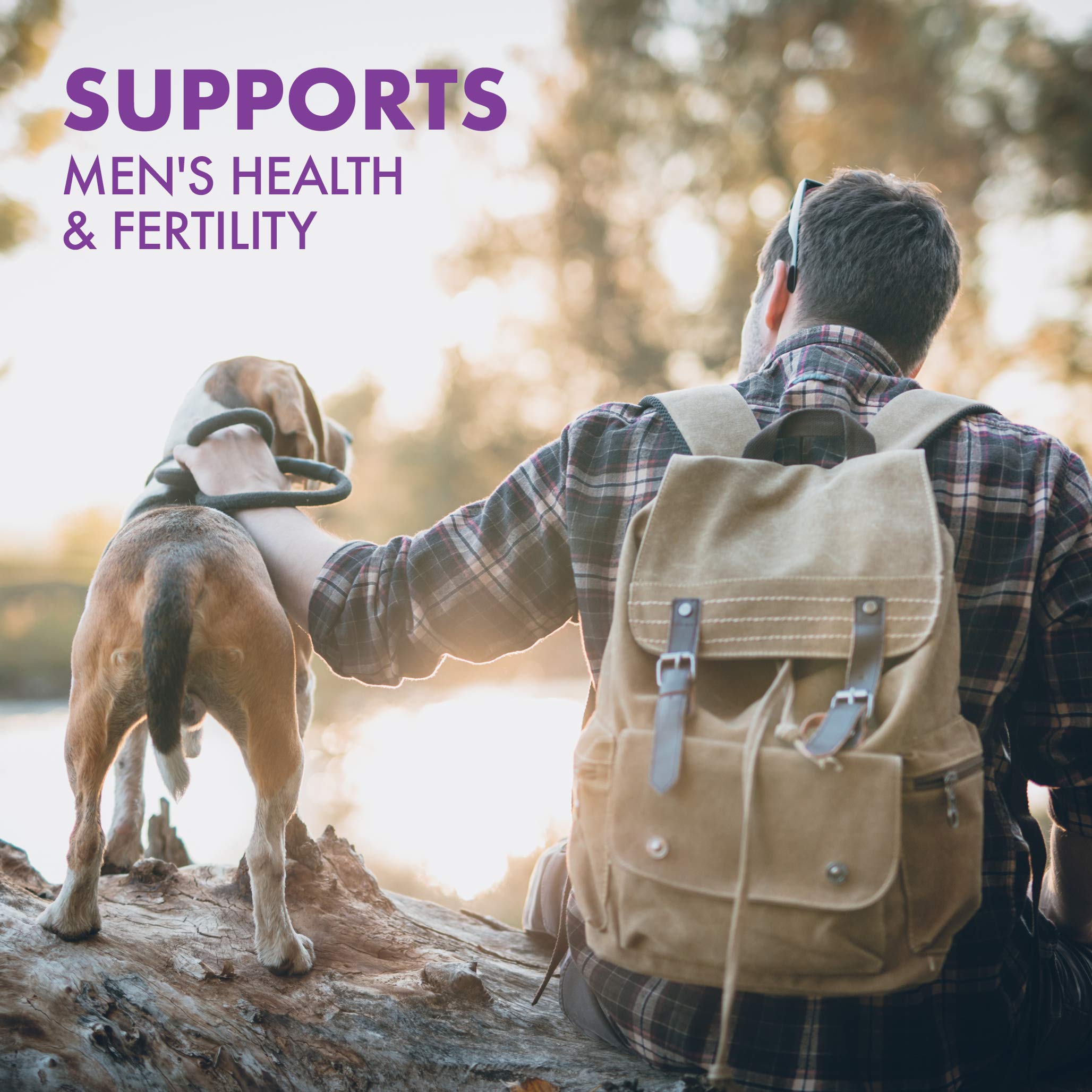 Bluebonnet Nutrition zinc picolinate bottle on white background