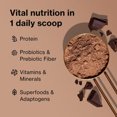 BODi Shakeology vegan-protein blend ingredients close-up showcases plant-based protein for lean muscle.