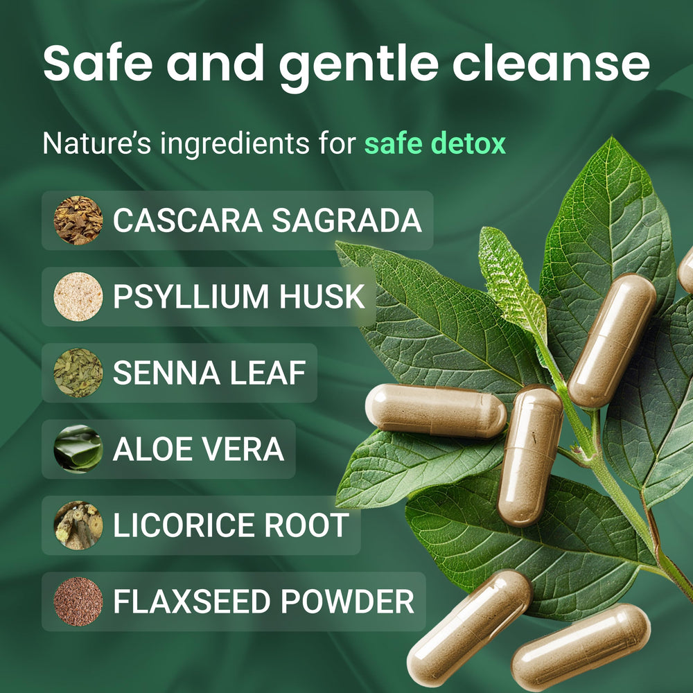 Illustration of gut health and digestion