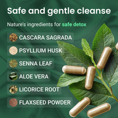 Illustration of gut health and digestion