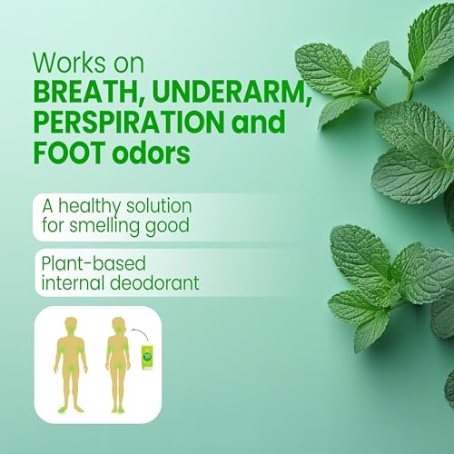 Close-up of Body Mint Original ingredients