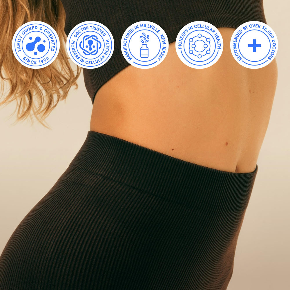 Illustration representing gut health and digestive support