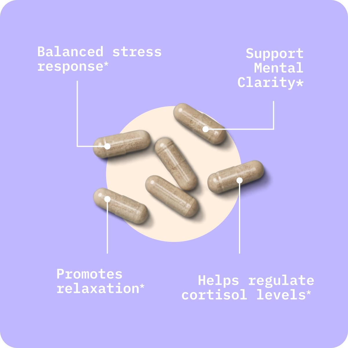 Mood and focus illustration for BodyBio Calm