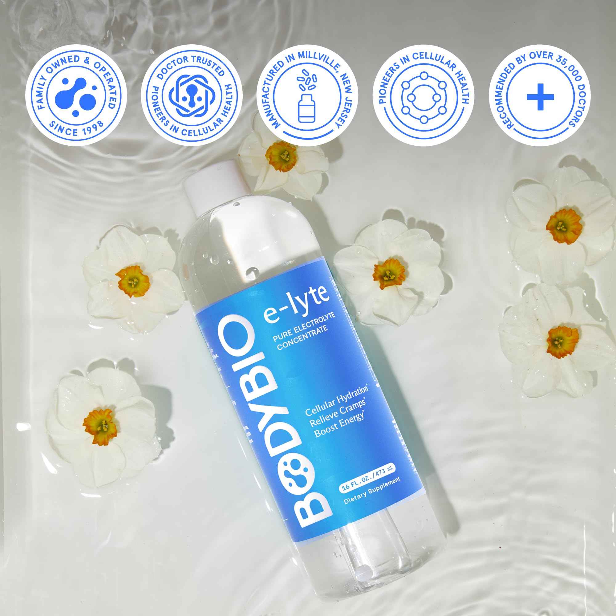 No artificial flavors or fillers label