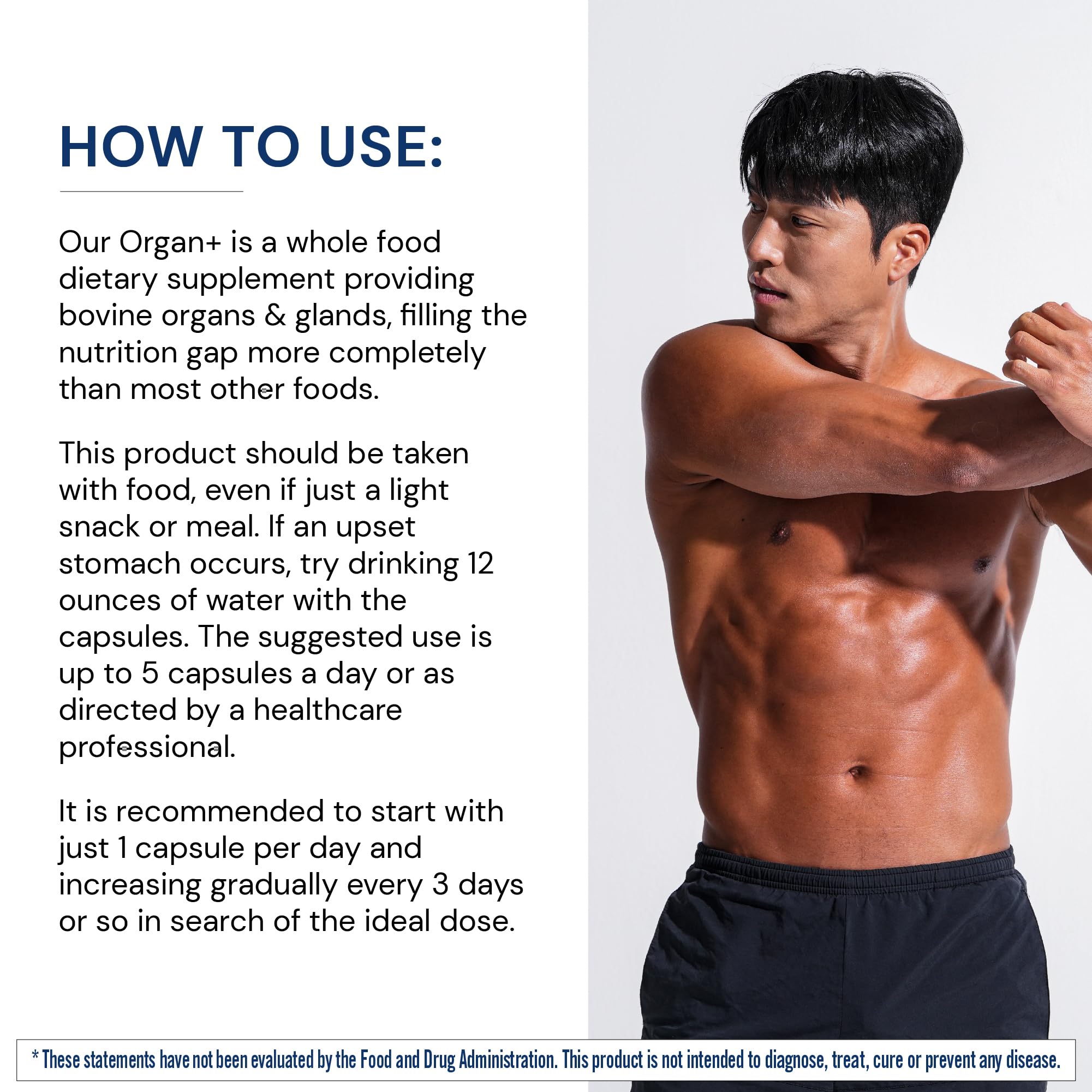 Beef kidney glandular used in the organ complex