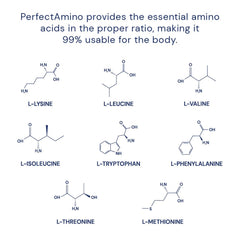 Vegan amino acids for pre- and post-workout support