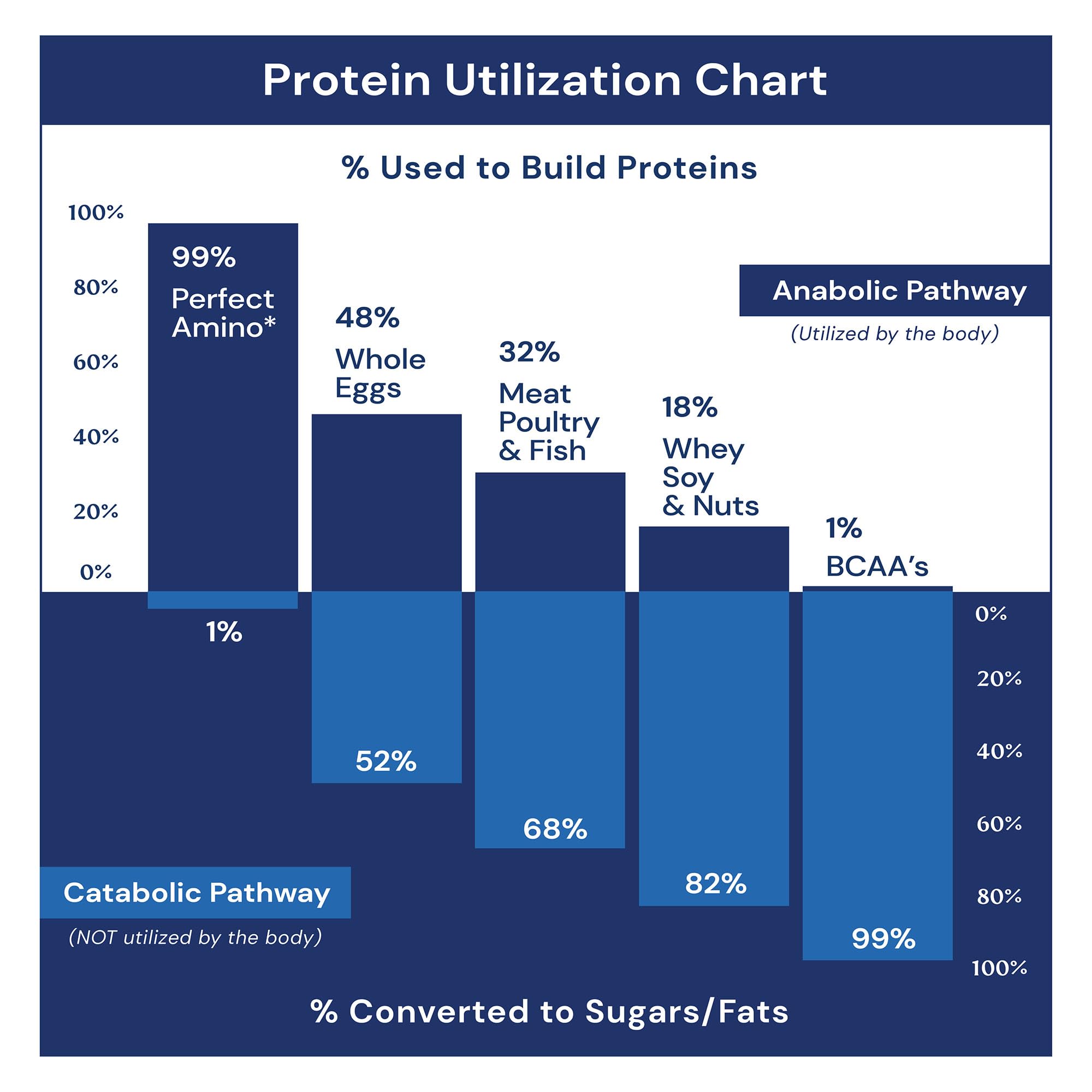 BodyHealth PerfectAmino in workout scene with shaker suggesting post-workout support.