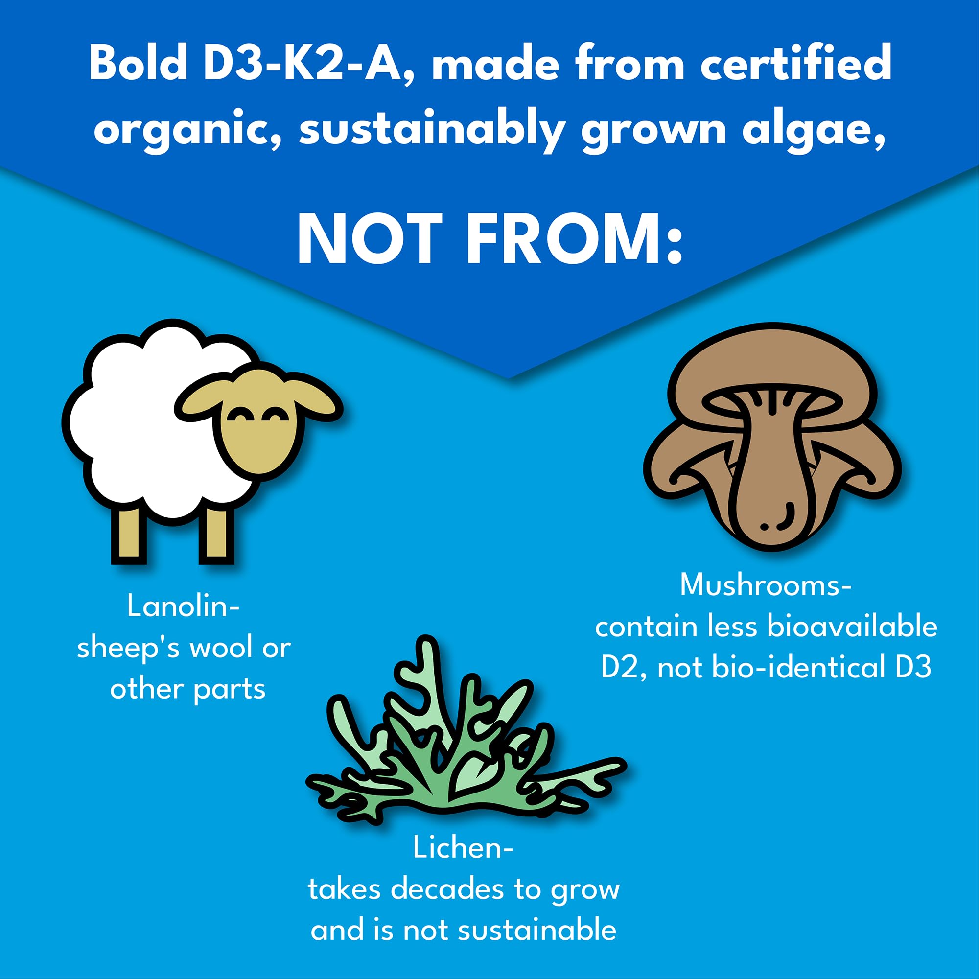 Naturally orange flavored Bold Botanica D3-K2-A liquid vitamin