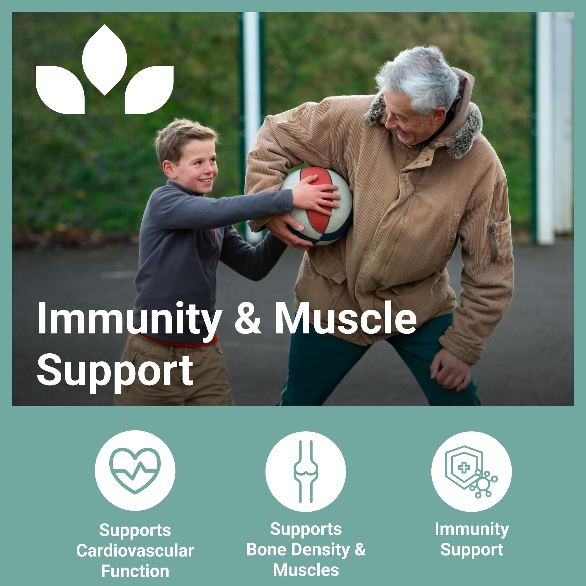 Illustration of bone and heart health benefits from D3 K2