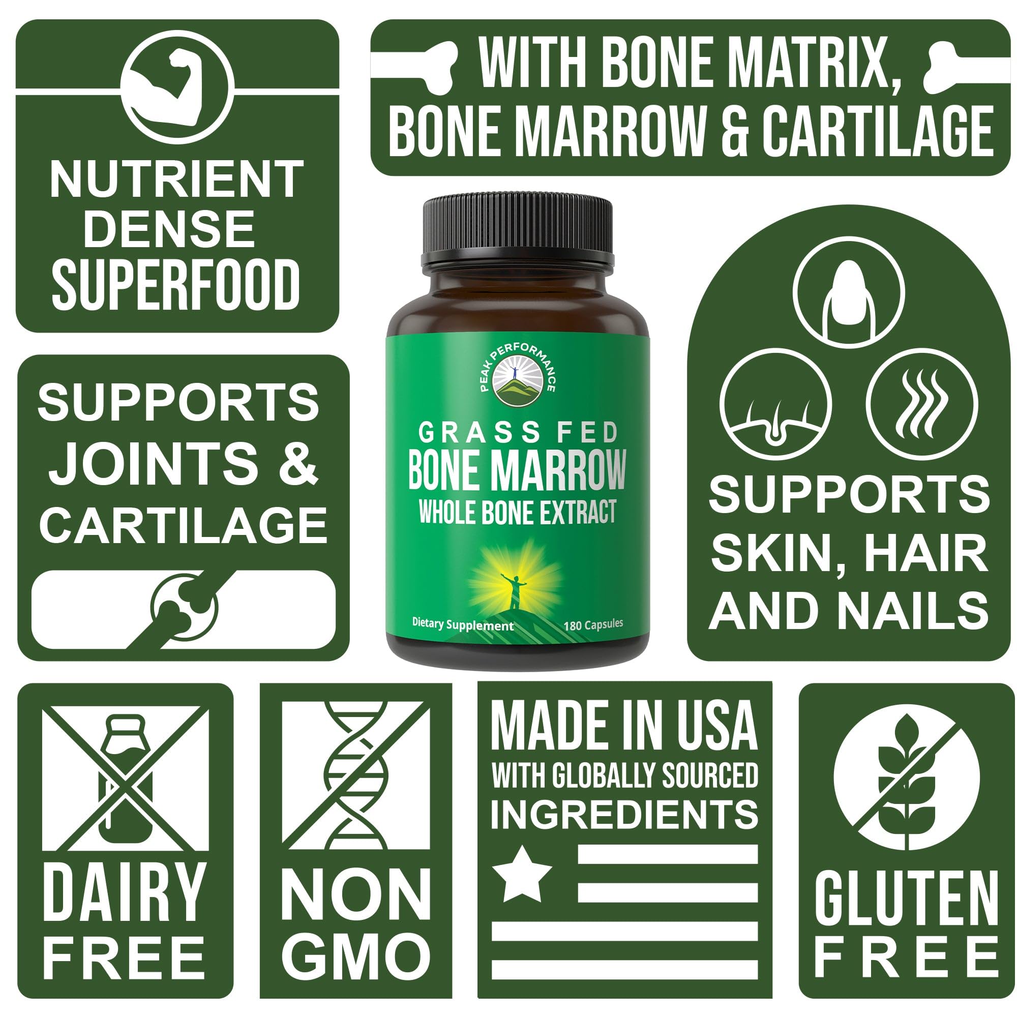 Bones and cartilage nutrition highlighting bone matrix and marrow