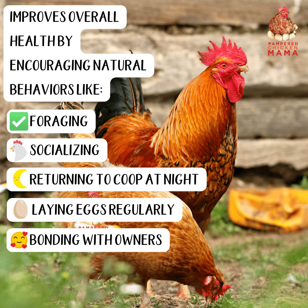 Beaks, bones, and digestion support for ducks and chickens