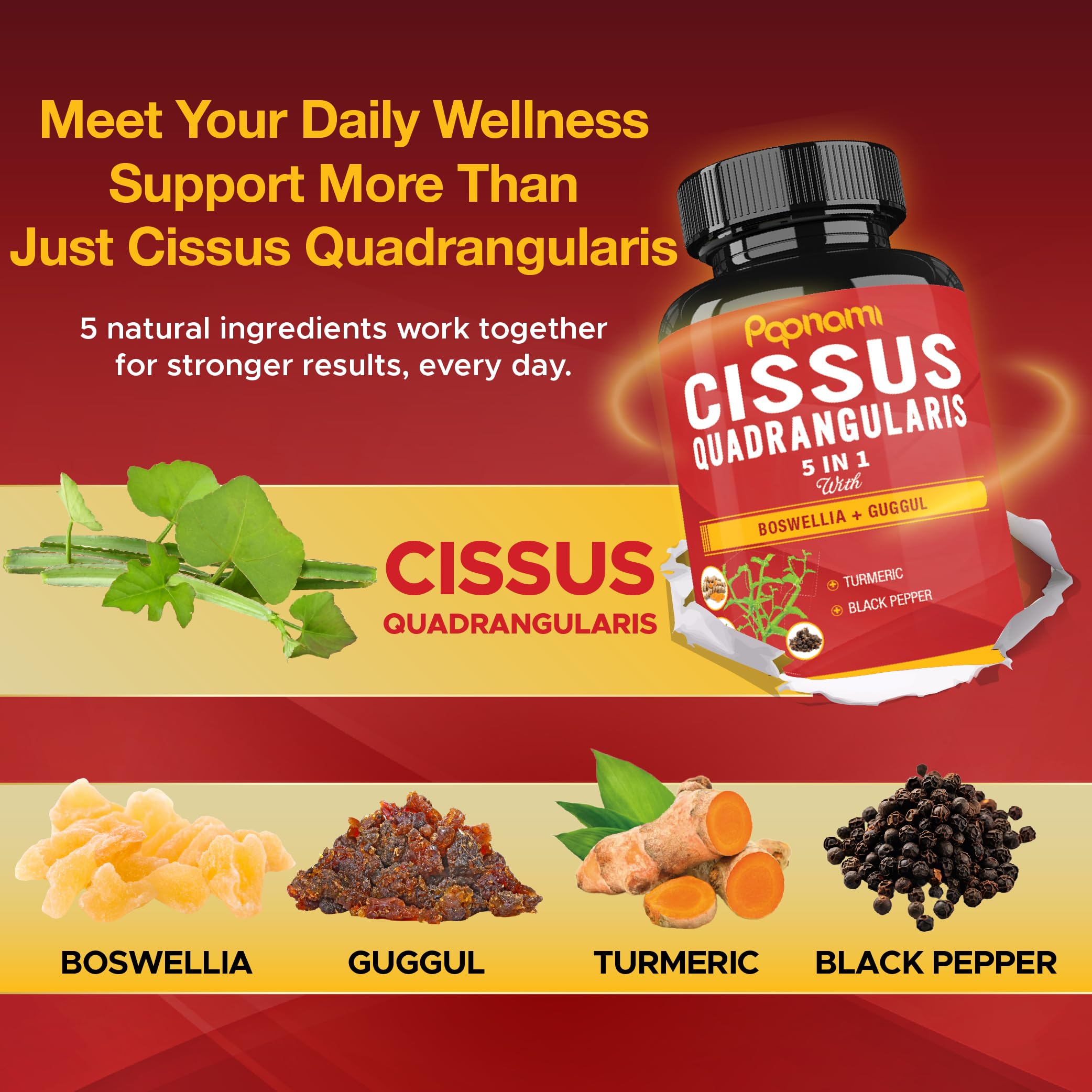 Blend of Boswellia, Guggul, Turmeric Curcumin and Black Pepper