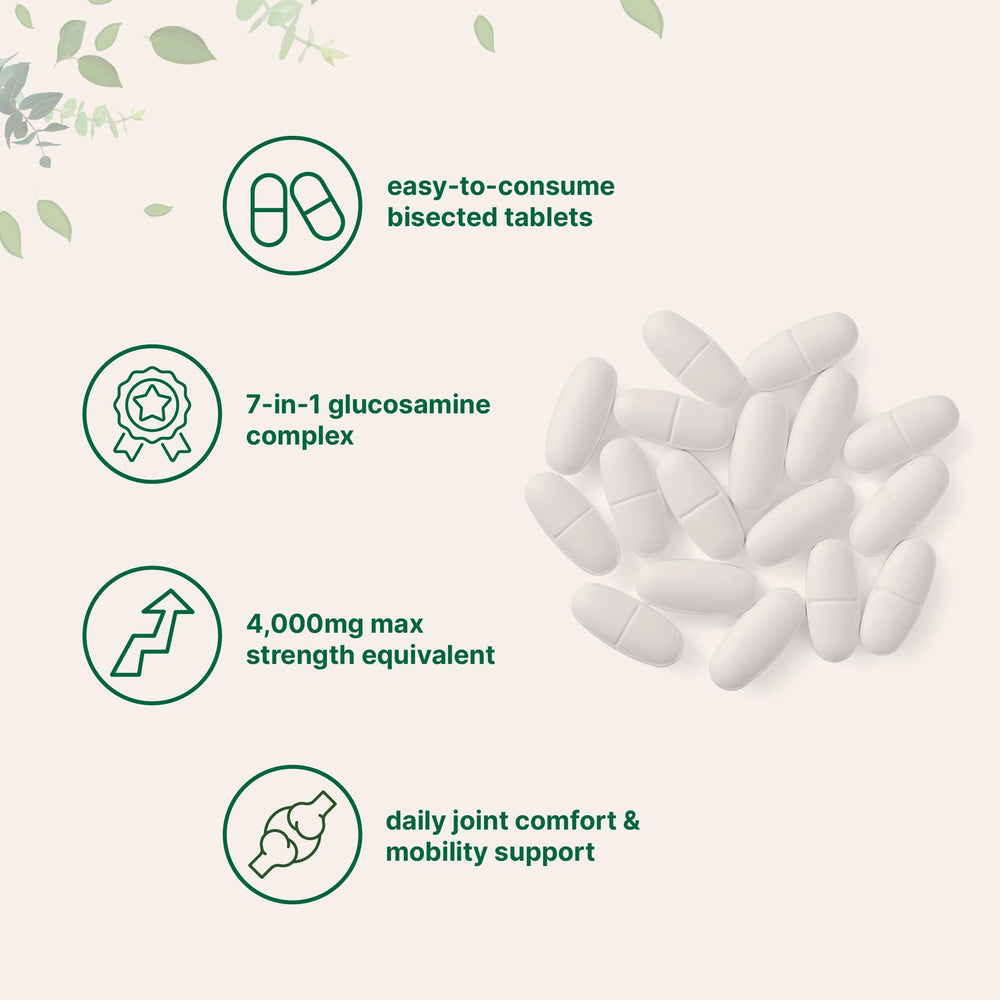 Close-up illustration of boswellia, hyaluronic acid and collagen ingredients.