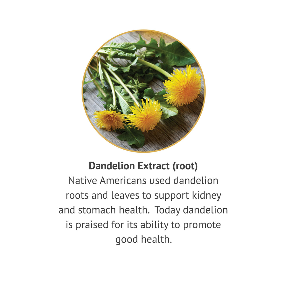 Botanic Choice branding and product packaging for Dandelion Root extract
