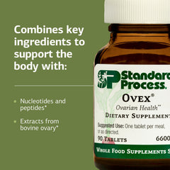 Illustration of bovine ovary Cytosol extract sources