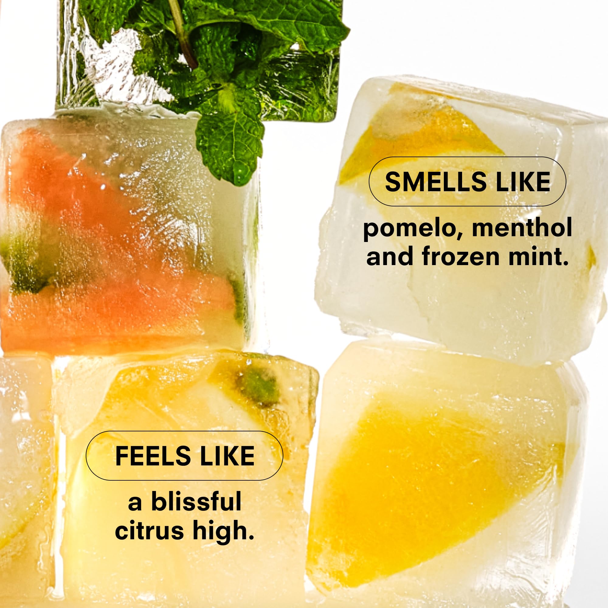 Nasal stick label highlighting plant-based ingredients