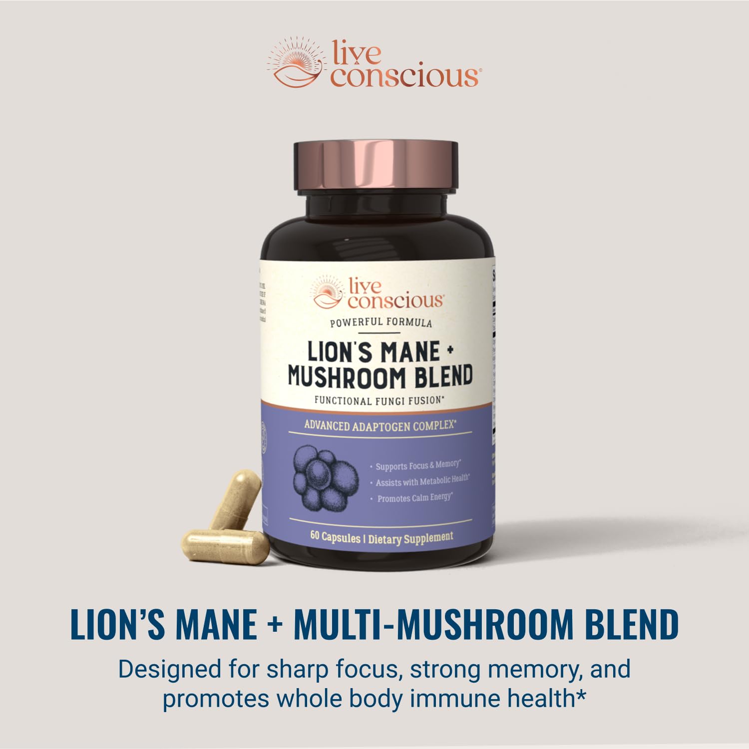 Focus and mental clarity support with mushroom blend