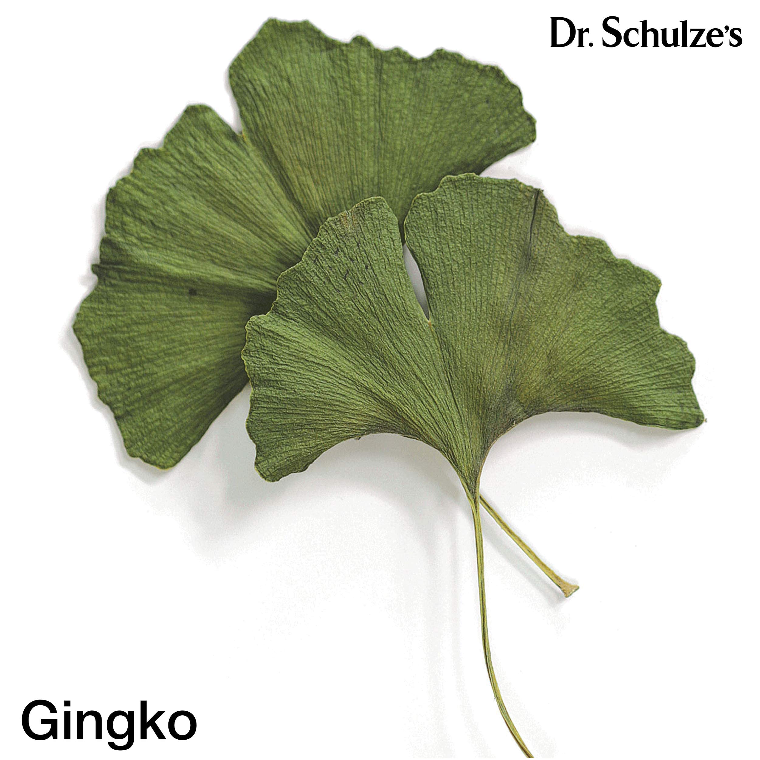 Ginkgo Biloba boosts blood and oxygen to the brain