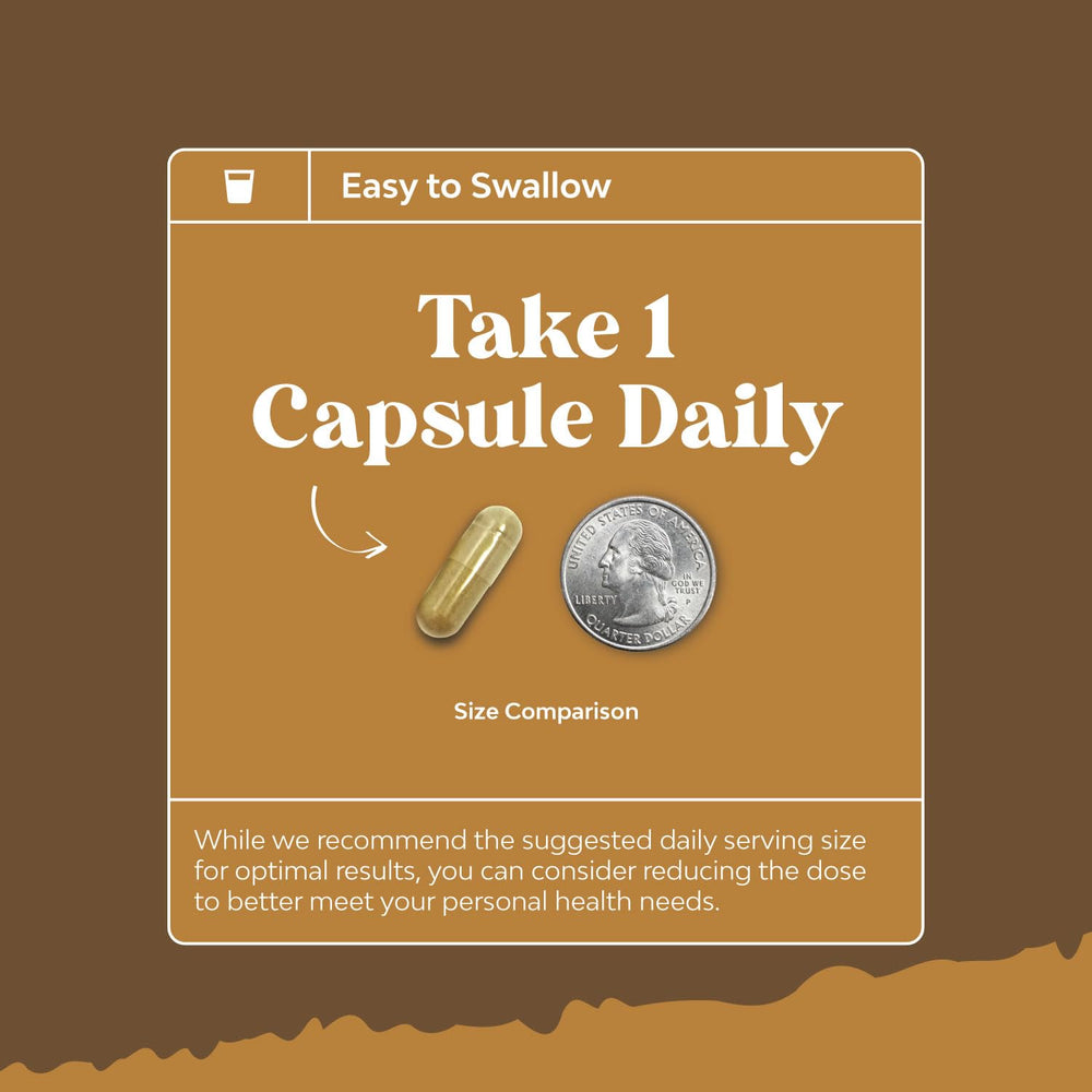 Brain health supplement featuring adaptogenic mushrooms