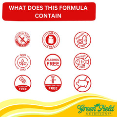 Brain Health and Energy Metabolism Concept