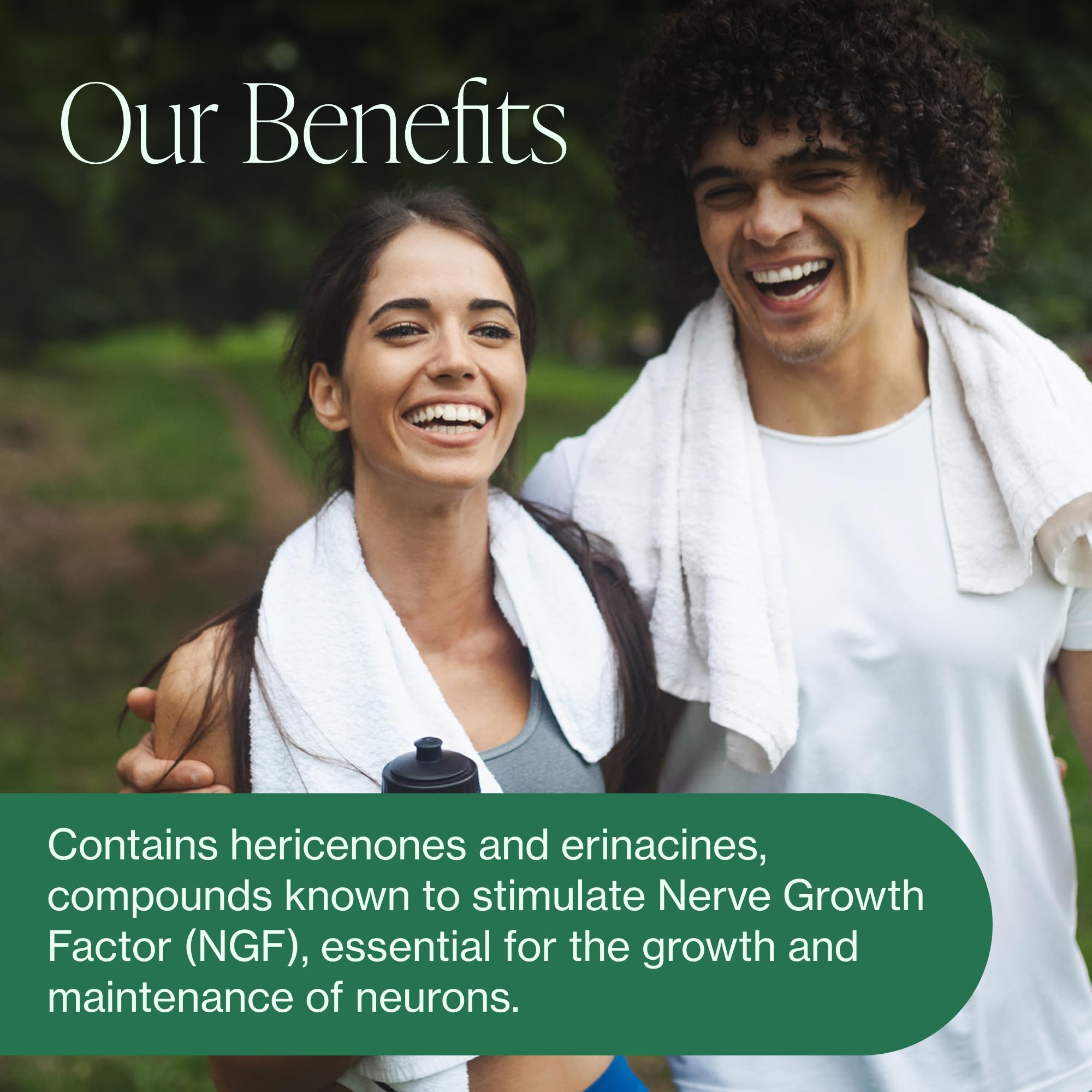 Close-up of erinacines and hericenones for brain health