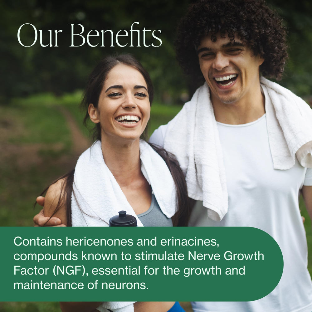 Close-up of erinacines and hericenones for brain health