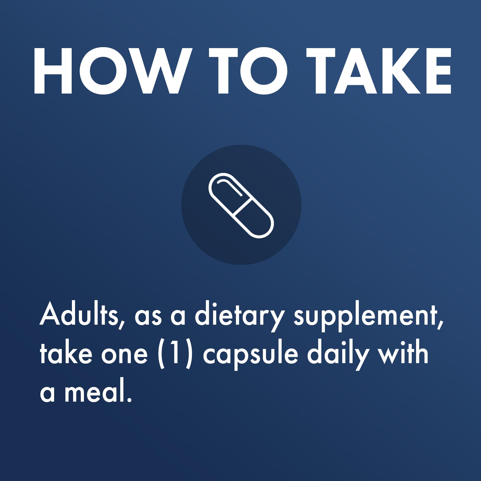 Brain health and sleep support illustration