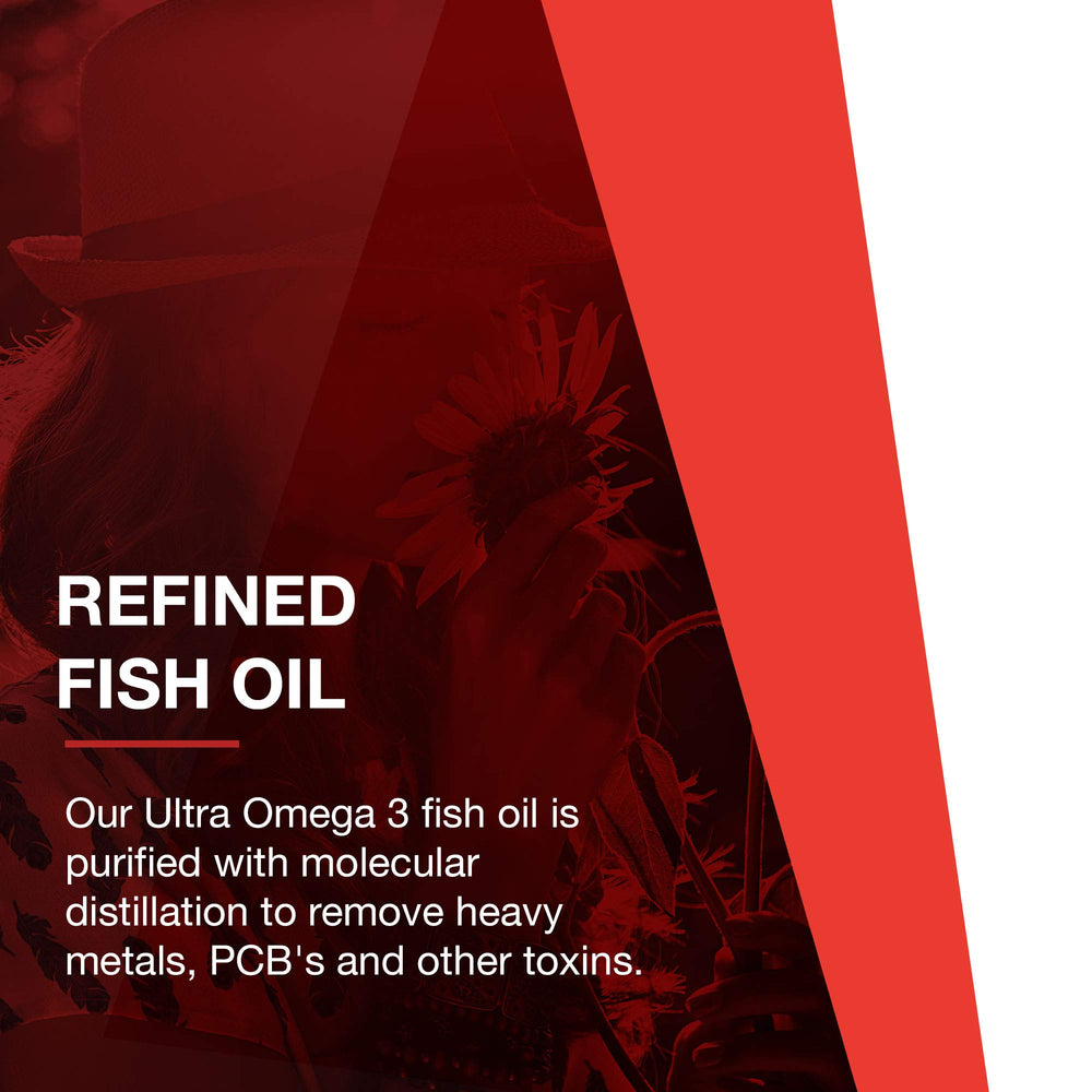 Illustration of brain, heart and nervous system health