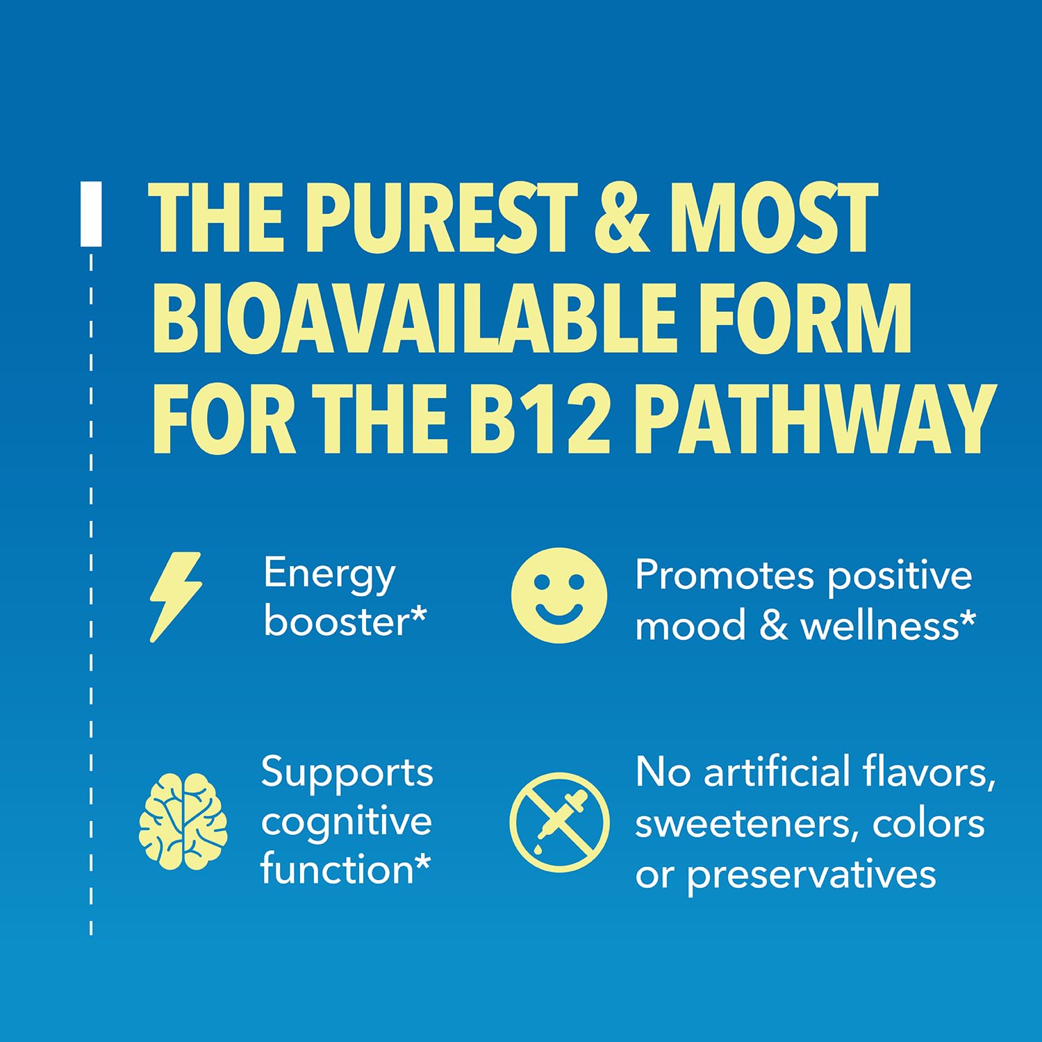 Graphic showing brain and nervous system support from B12