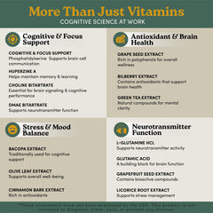 Vitamin B6 and B12 supplements with brain health labeling