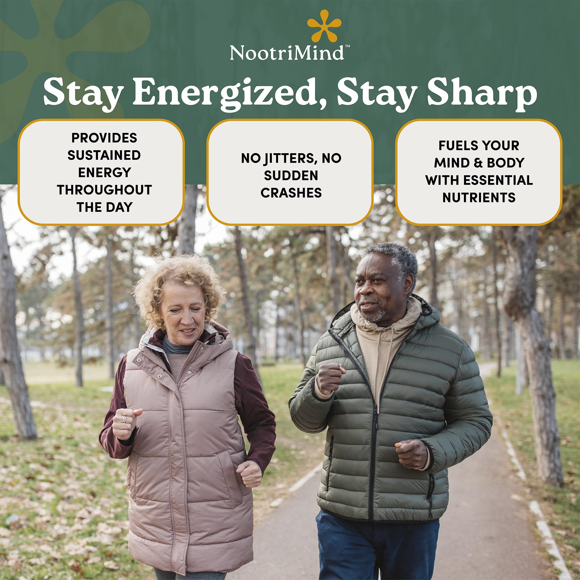 Zinc, Magnesium and other brain nutrients arranged on white surface