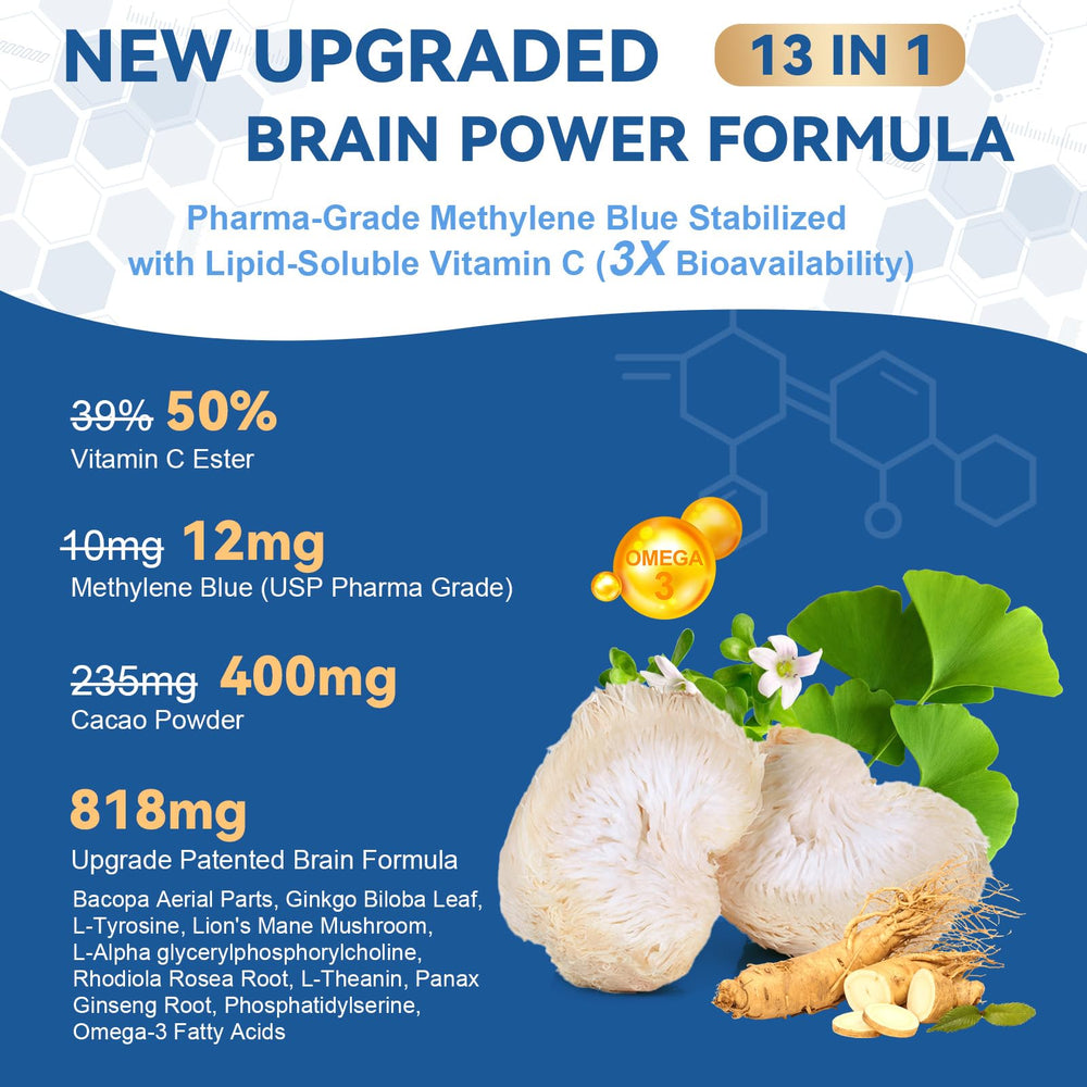 Brain support matrix ingredients including Bacopa, Ginkgo and Lion's Mane