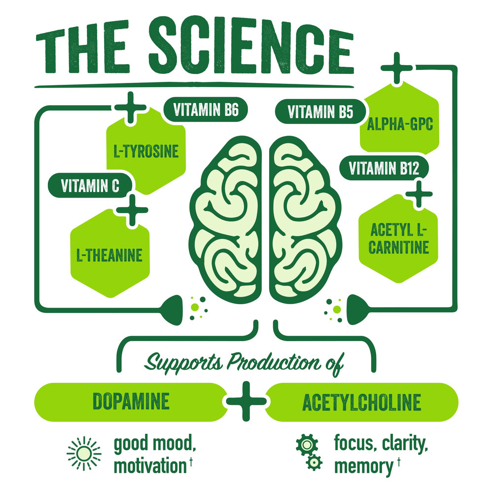 BrainJuice ingredient Alpha-GPC and L-Theanine highlight for focus and calm