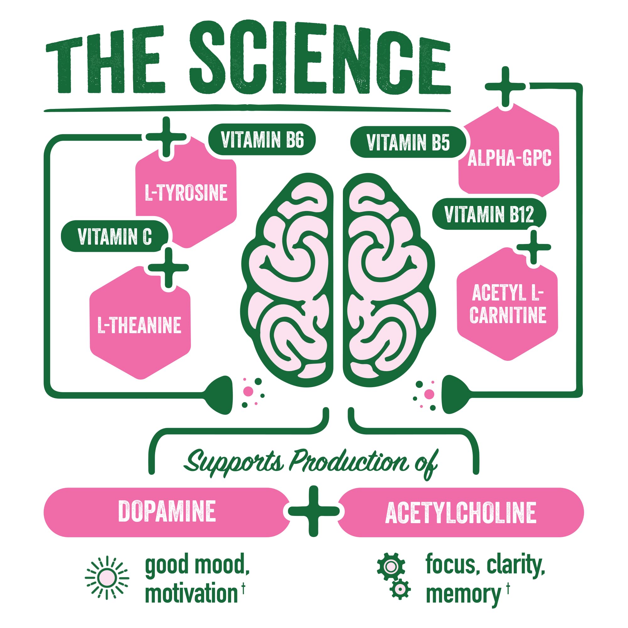 BrainJuice Watermelon powder being mixed into water