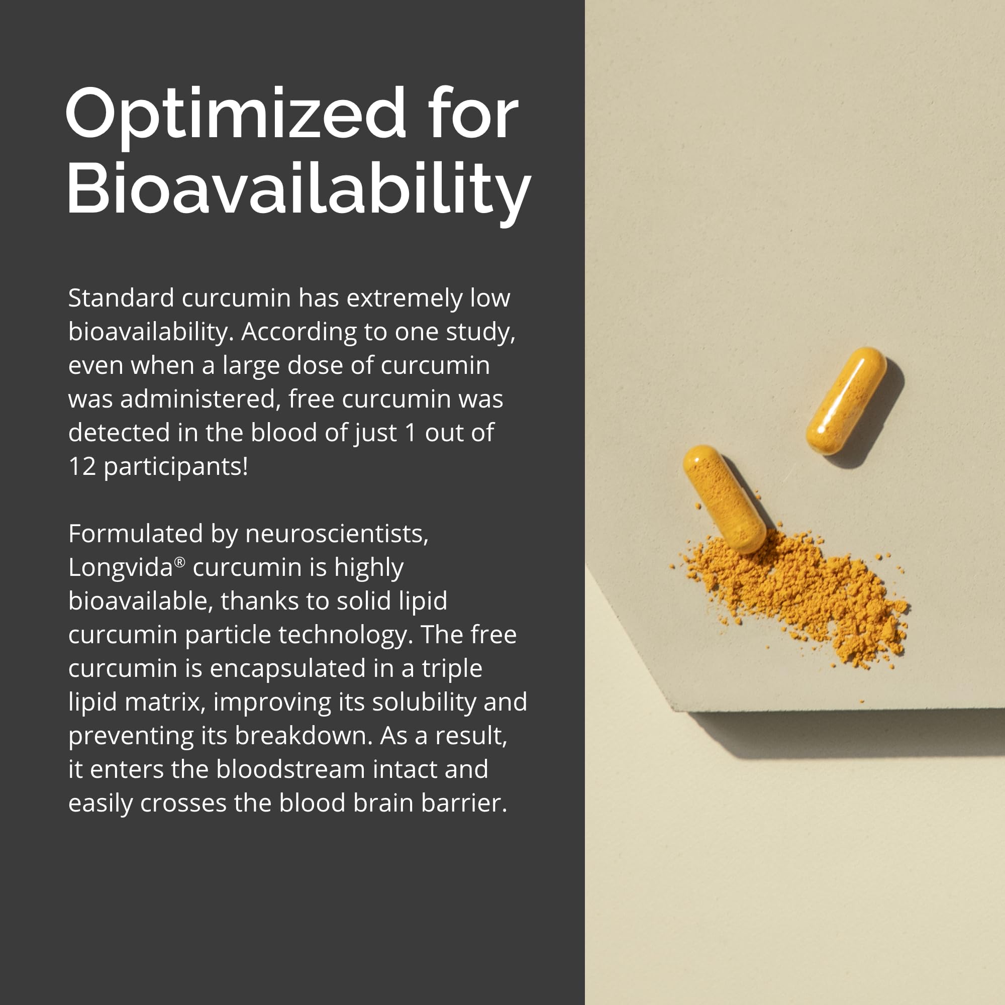Illustration of memory and brain health