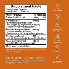 BrainMD Focus & Energy bottle front with 120 capsules