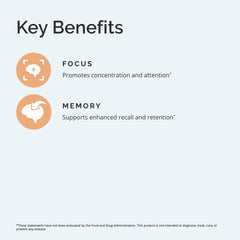 Brain health icon representing cognitive support