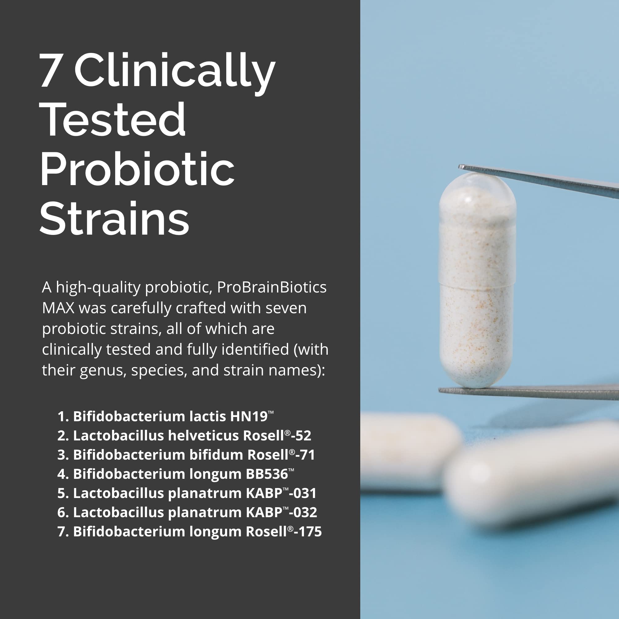 Immune support and gut health concept with ProBrainBiotics MAX