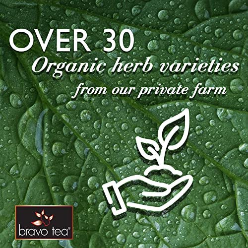 20 tea bags of Bravo Tea Triple Detox