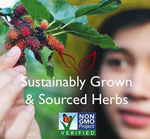 Ingredients overview: honeysuckle stem, schisandra berry, bamboo leaf